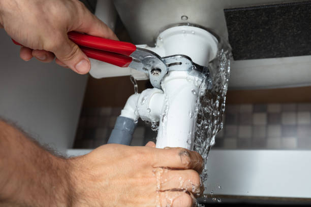 Best Mold removal after water damage  in Pine Grove, PA
