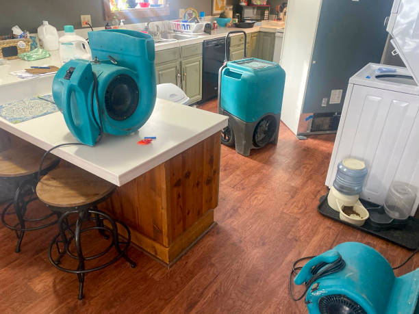 Best Carpet water damage restoration  in Pine Grove, PA