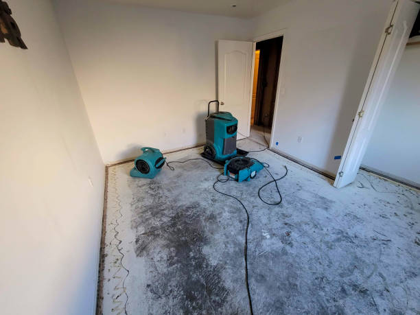 Best Flood restoration services  in Pine Grove, PA