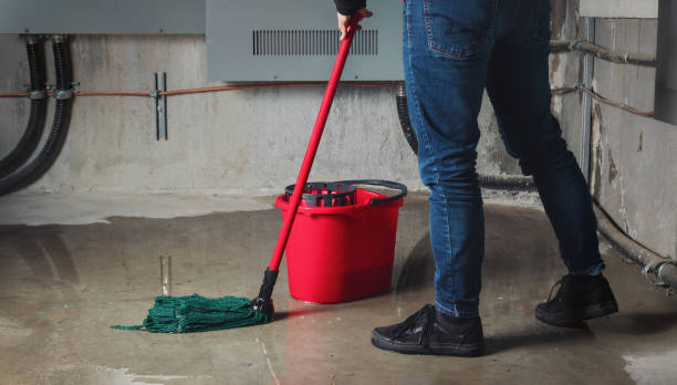 Best Fire Damage Restoration  in Pine Grove, PA
