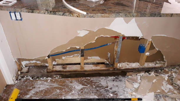 Best Flooded house restoration  in Pine Grove, PA