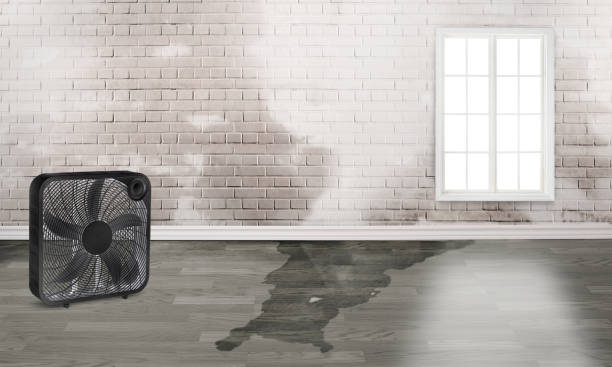 Best 24/7 water damage repair  in Pine Grove, PA