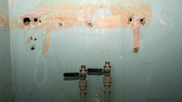 Best Water damage restoration cost  in Pine Grove, PA