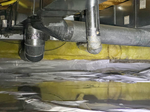 Best Ceiling water damage repair  in Pine Grove, PA