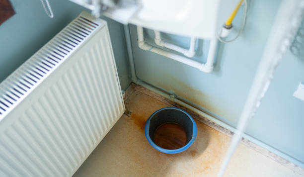 Reliable Pine Grove, PA Water damage restoration Solutions