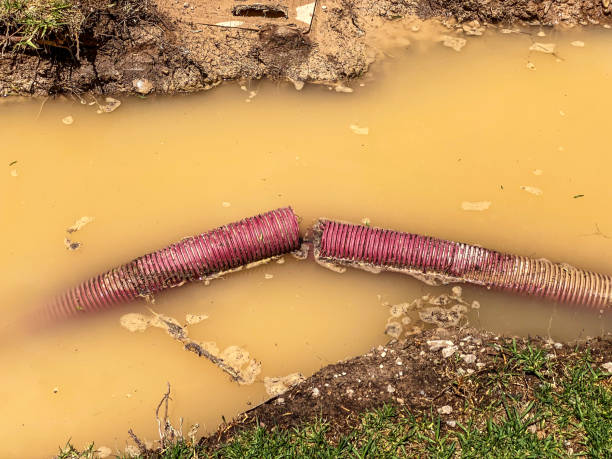 Best Emergency water extraction  in Pine Grove, PA
