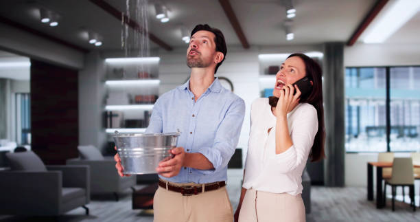 Best Commercial water damage restoration  in Pine Grove, PA