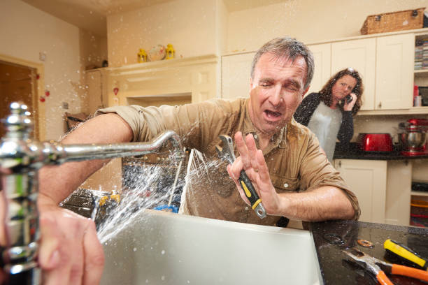 Best Water damage mitigation services  in Pine Grove, PA